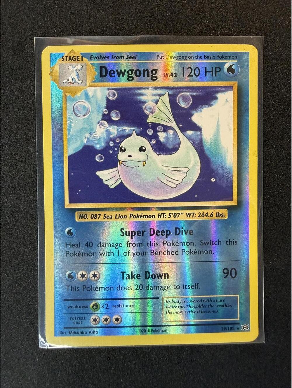 Pokemon Dewgong XY
